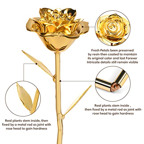 24K Gold Dipped Real Rose - Unique Handcrafted Gift for Her