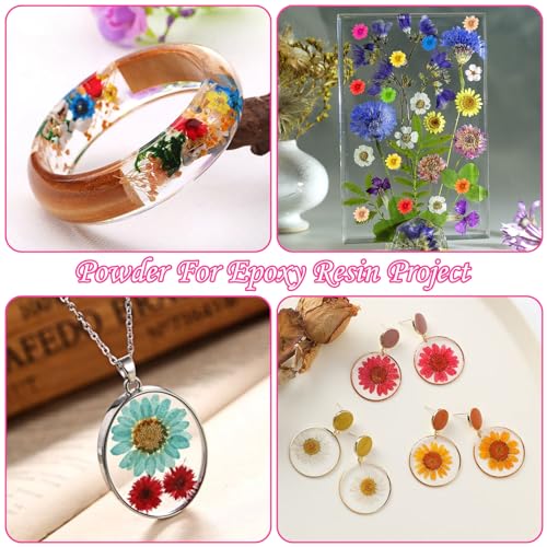 300 PCS Mini Dried Flowers for Resin Jewelry, Soap, and Candle Making