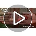 DecorbyHannah 49ct Red & Gold Mini Christmas Ornaments Set Tree Decoration