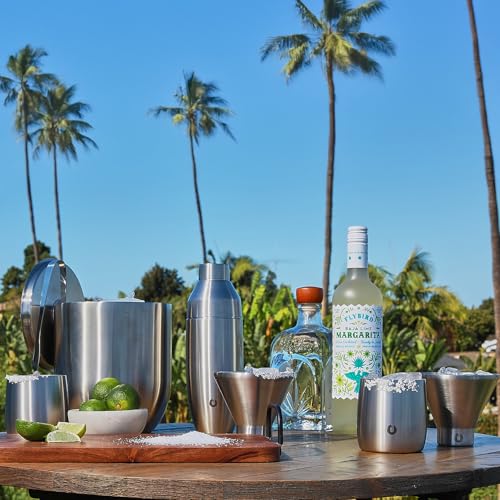 Snowfox Insulated Whiskey & Cocktail Glasses Set with Ice Bucket & Scoop, 11oz & 3L Stainless Steel Bar Accessories