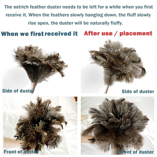 Natural Ostrich Feather Duster with Wooden Handle, 16" Soft Cleaning Brush