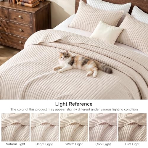 Exclusivo Mezcla King Size Quilt Set - Lightweight Beige Microfiber Coverlet