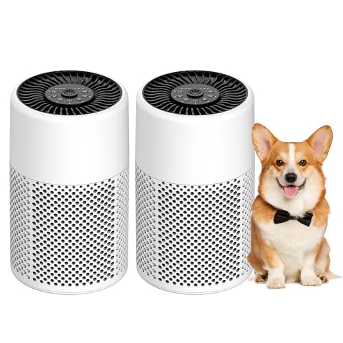 True HEPA Air Purifier 2-Pack for Bedroom Smoke Dust Pet Dander White