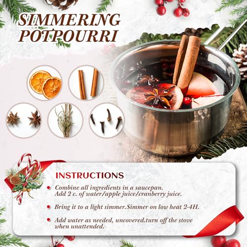 2 Pcs Christmas Simmer Pot Stovetop Potpourri 30G Orange Spice