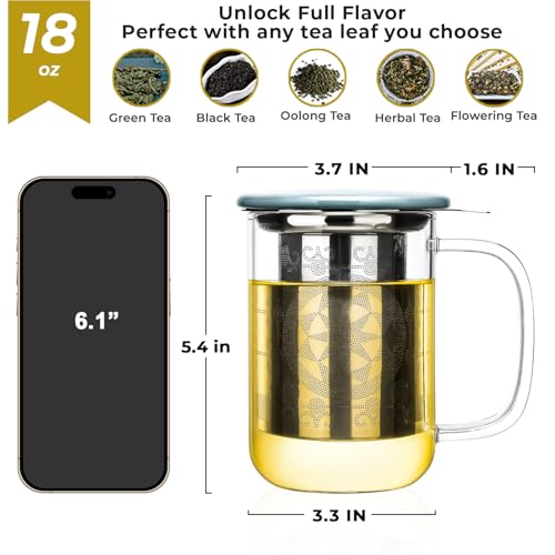 Aquach 18oz Borosilicate Glass Tea Cup with Infuser & Lid - Modern Brew Mug