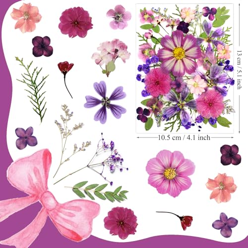 35 Pcs Real Purple Pressed Dried Flowers & Leaves for DIY Resin Crafts