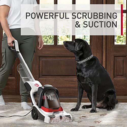 Hoover PowerDash Pet+ Compact Carpet Cleaner & Lightweight Shampooer
