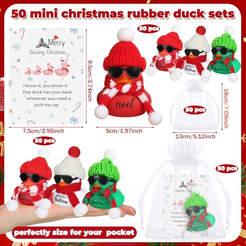 Lunmon Christmas Party Favors Set with 50 Rubber Ducks, Cards, Hats & Organza Bags - Red Green White Xmas