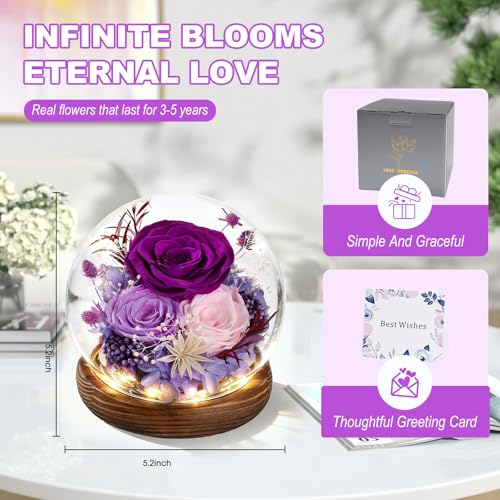Preserved Eternal Rose in Glass Dome - Real Purple Flower with Wood Base