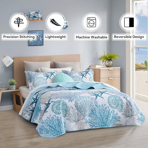 3-Piece Coastal Quilt Set Full/Queen - Soft Beach Nautical Bedspread