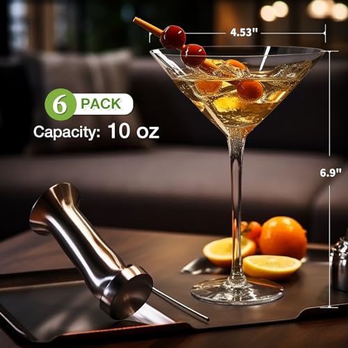 Unbreakable Martini Glasses Set of 6, 10 oz BPA-Free Plastic Cocktail Glasses