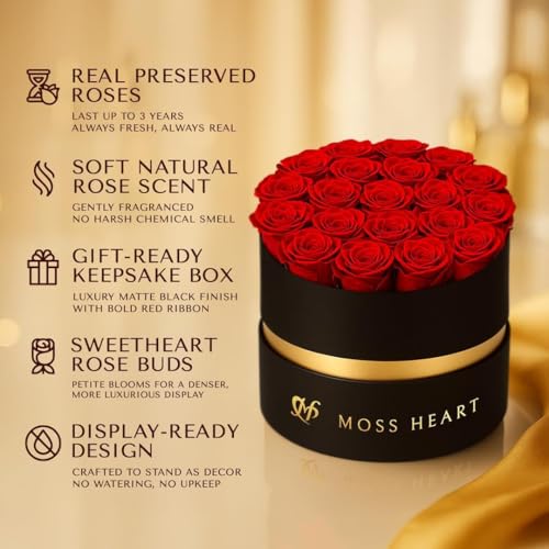20 Preserved Red Roses in Luxury Round Gift Box - Long-Lasting Eternal Flowers