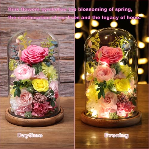 Preserved Pink Rose in Glass Dome with LED Lights for Romantic Gifts