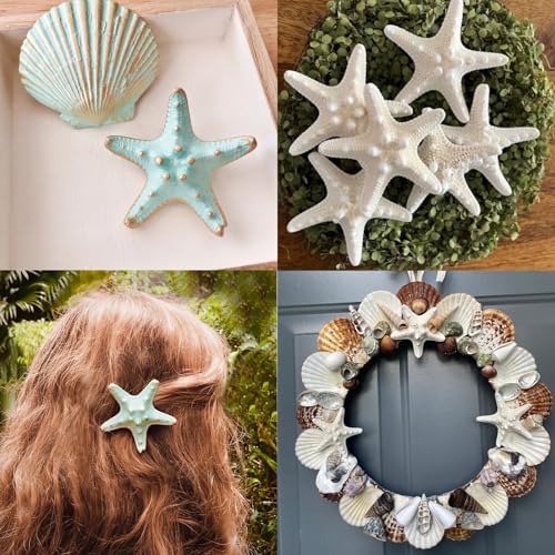 16-Piece Natural Starfish & Scallop Shells with Pearls (3-4 Inch) for Crafts
