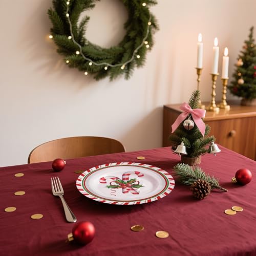 WRAPAHOLIC Christmas Candy Cane Paper Plates 7 Inch - 25 Pack Disposable Holiday Tableware