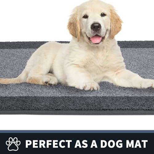 Dirt Trapping Indoor Door Mat, 20" x 32" Non-Slip Washable Entryway Rug