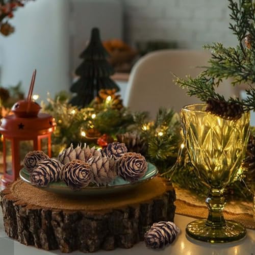 150 Pcs Mini Natural Pine Cones (0.78") for DIY Crafts & Holiday Decor