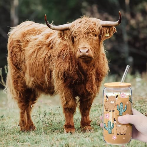 Skylety Highland Cow Gift Set – Highland Cow Glass Cup, Makeup Bag & Socks (Variation: Highland Cow) for Women
