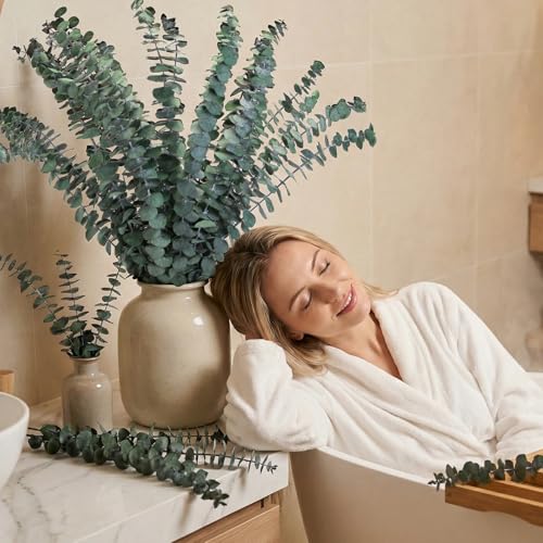 16-Piece Preserved Eucalyptus Stems, 17-Inch Dried Eucalyptus for Shower