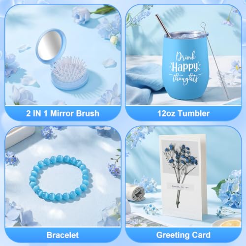 Nuogo 11-Piece Birthday Spa Gift Baskets for Women - Blue