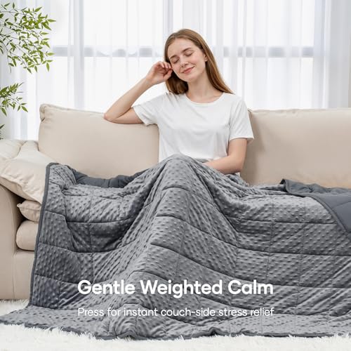 20lb Weighted Blanket for Adults, 60x80in Reversible Cooling Minky Throw