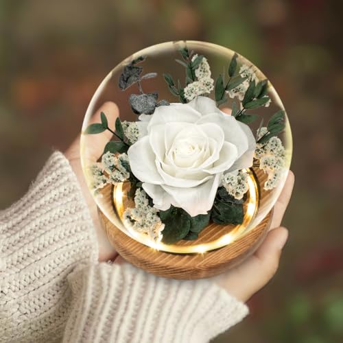 Preserved White Rose in Glass Dome with LED Lights - Romantic Gift for Her