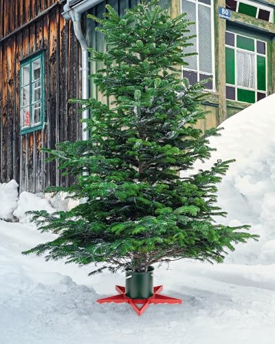 Real Christmas Tree Stand Base for Live Trees up to 6.5 ft - Star Design
