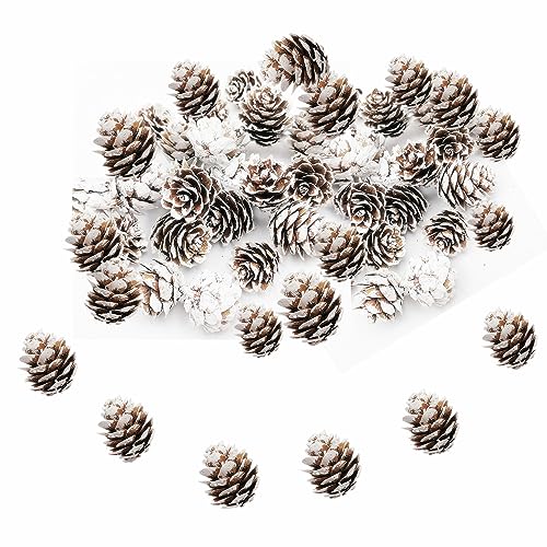 180 PCS Mini Frosted Pine Cones, 2cm Rustic White Snow Pinecone Ornaments