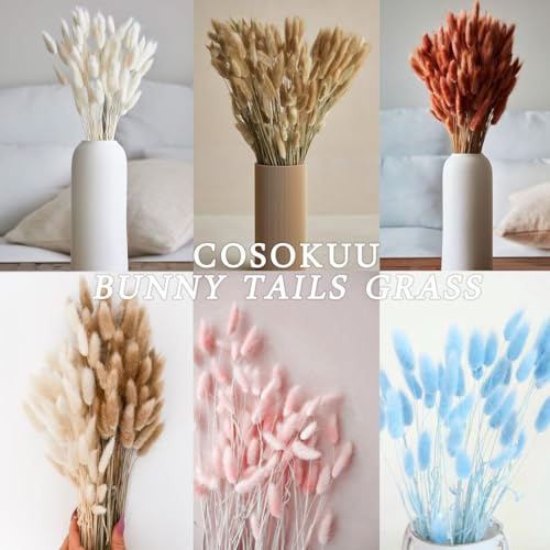 100pcs Dried Bunny Tail Grass Stems - 17 Inch Burnt Orange Boho Decor