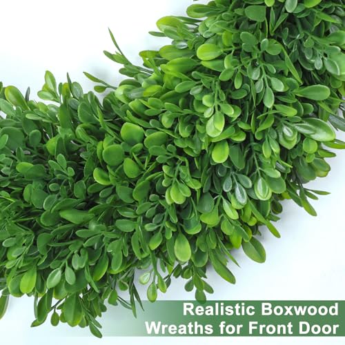 22-Inch Artificial Boxwood Wreath for Front Door - All Season Greenery