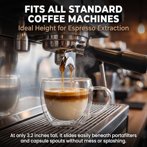 10 oz Double Walled Glass Coffee Mugs Set of 2 - Insulated Hand Blown Clear Cups for Espresso, Latte, Tea, and More