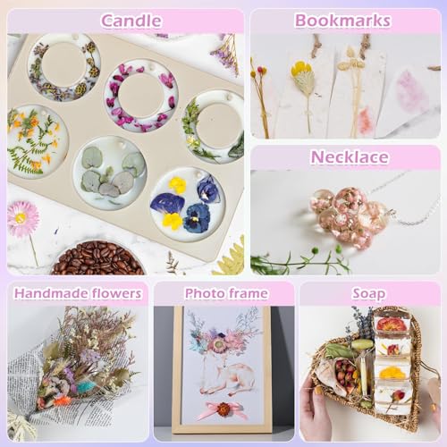 Natural Real Dried Flowers Set for DIY Resin Crafts, Jewelry & Candles