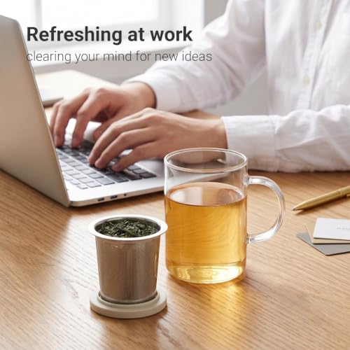 Emoi 15 oz Glass Tea Cup with Infuser & Lid, Loose Leaf Tea Brewer