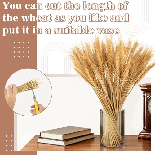 100 Stems Natural Dried Wheat Stalks, 12.9 Inch Fall Decor & Vase Filler