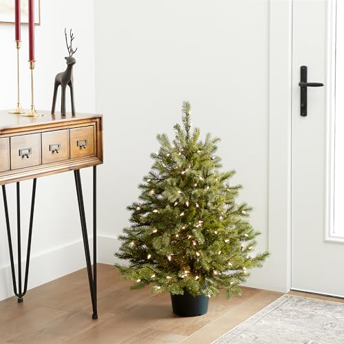 National Tree Company 3ft Pre-Lit Hampton Spruce Artificial Christmas Tree