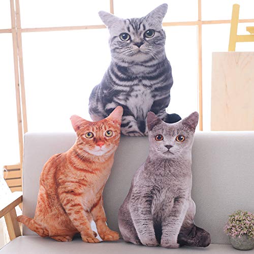 Maomoto 19.6'' Cat Throw Pillow - Plushie Cushion Doll 3D Simulation Cat Plush Stuffed Animal Cushion Pillow Toy for Kids, Sofa Chair Home Decor (Orange)