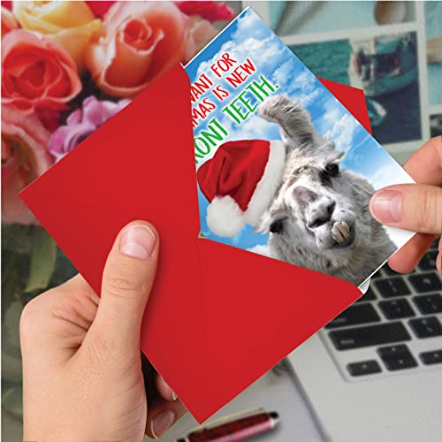 Llama Front Teeth Christmas Card - Humorous Holiday Greeting, 5x7