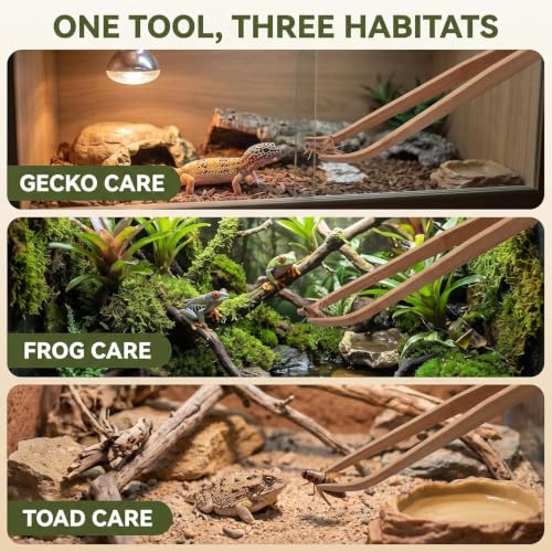 Mozff 2-Pack Wooden Reptile Feeding Tongs - 28cm Eco-Friendly Angled Tweezers for Reptiles & Amphibians