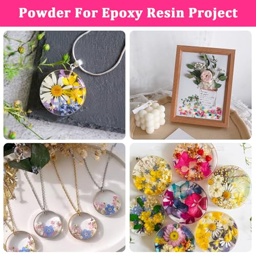 520 Pcs Mini Dried Flowers for Resin Crafts, Jewelry & Soap Making