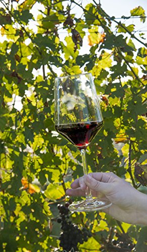 Tritan Crystal Red Wine Glasses, 19 oz Cabernet Stemware Set of 4