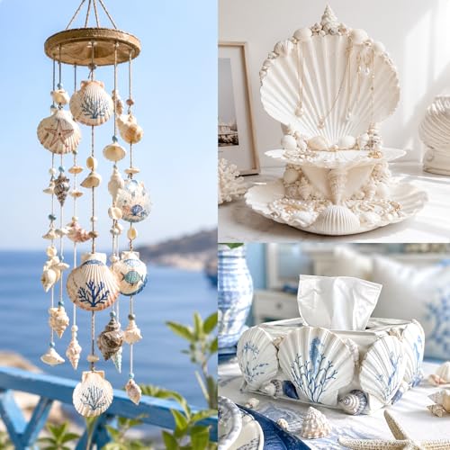 Natural White Scallop Shells for DIY Crafts & Painting - 2-3 Inch, 20 Pack