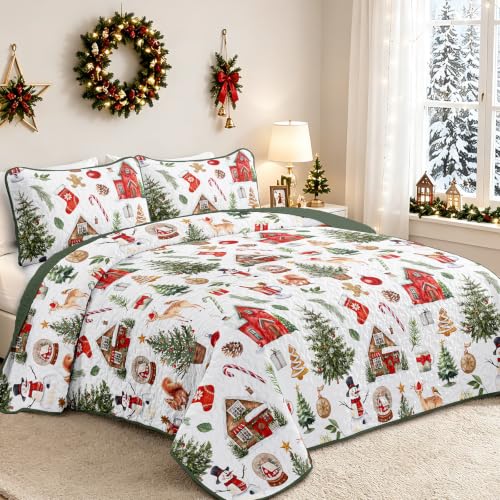 Xruibed Red & Green Christmas Quilt Set Queen 3-Piece (90x96) Elks Pattern