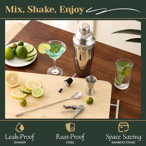 HomeCurated 24-Piece Cocktail Shaker Set with Stand & Accessories — Professional Bartender Kit for Home Bar, Silver