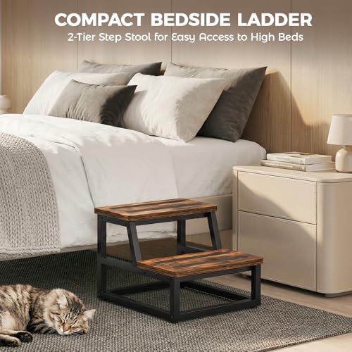 2-Step Stool with Non-Slip Rubber Feet, Sturdy Steel & Wood Ladder for Home