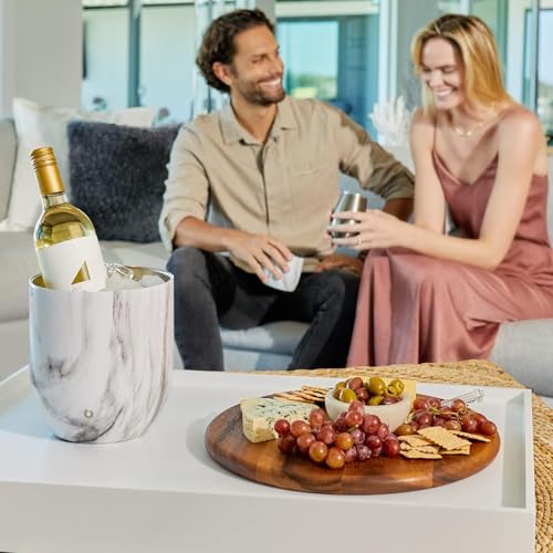 Snowfox Insulated Whiskey & Cocktail Glasses Set with Ice Bucket & Scoop, 11oz & 3L Stainless Steel Bar Accessories