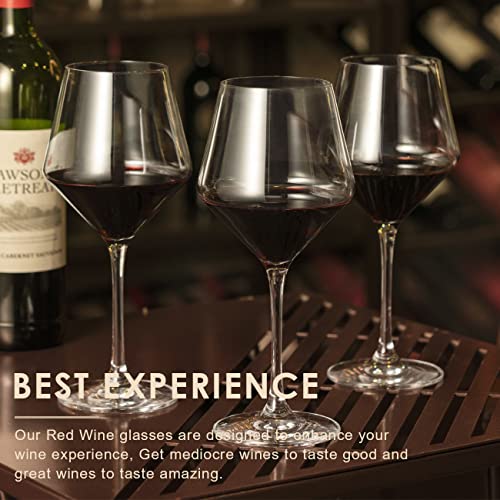Coccot Crystal Wine Glasses Set of 6, 16oz, Lead-Free Hand Blown Italian Style Burgundy Stemware