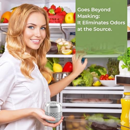 Fridge Deodorizer and Odor Eliminator with 10-Year Lifespan