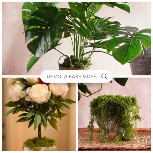 Artificial Decorative Moss for Terrariums, Fairy Gardens & DIY Crafts