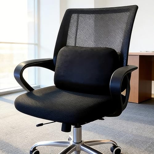 Lumbar Support Pillow for Car & Office - Memory Foam Cushion