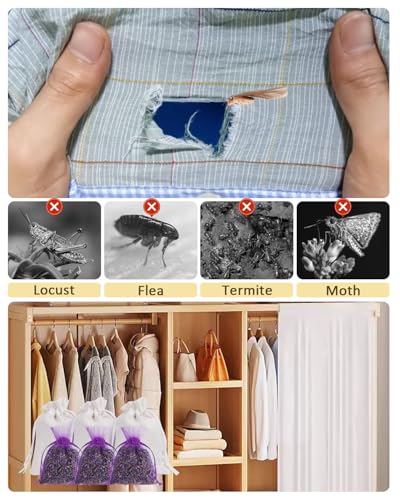 26-Pack Cedar and Lavender Scented Sachets for Closets and Drawers